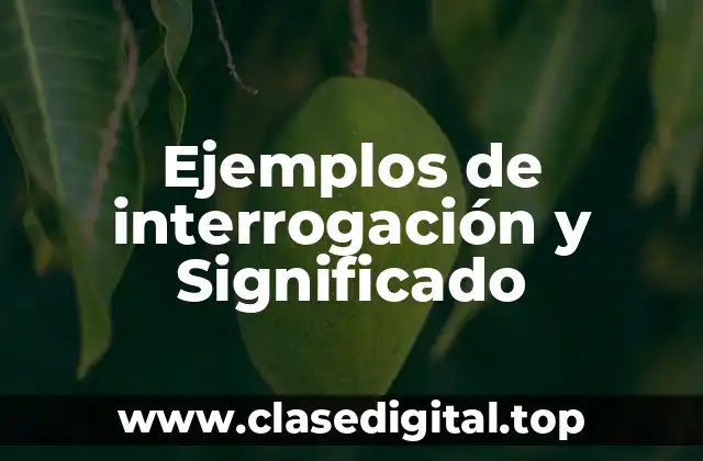 Ejemplos de interrogación y Significado