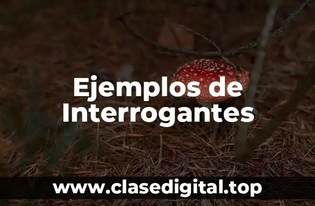 Ejemplos de Interrogantes