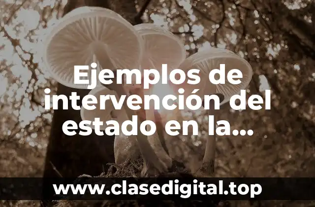 Ejemplos de intervención del estado en la economía mexicana