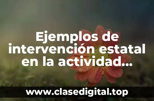 Ejemplos de intervención estatal en la actividad económica