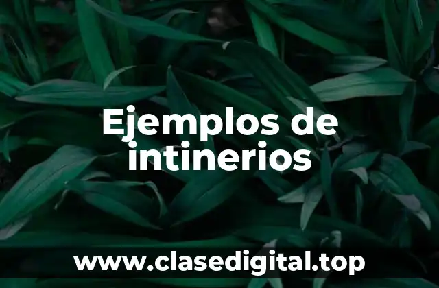 Ejemplos de intinerios