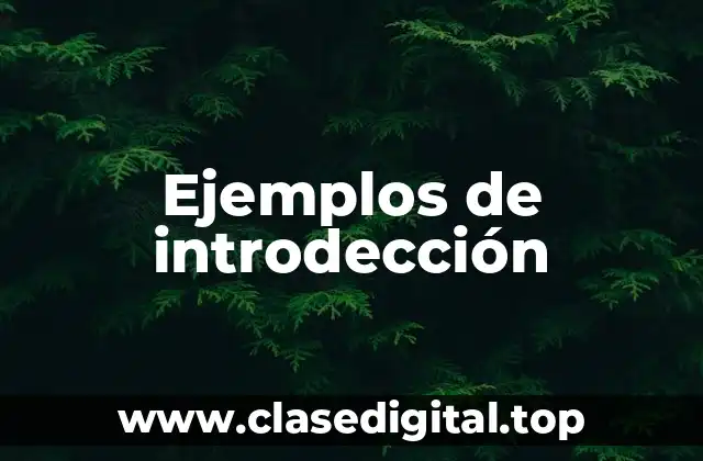 Ejemplos de introdección