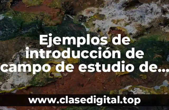 Ejemplos de introducción de campo de estudio de la geografia