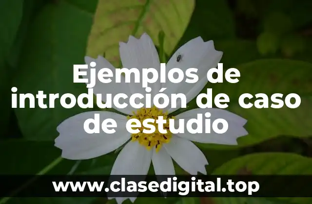 Ejemplos de introducción de caso de estudio