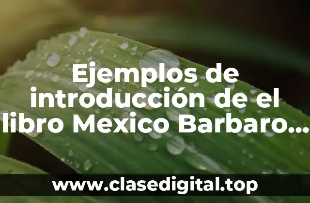 Ejemplos de introducción de el libro Mexico Barbaro y Significado