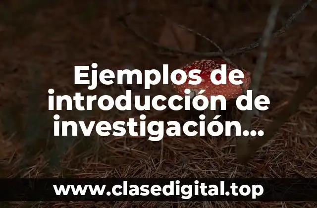 Ejemplos de introducción de investigación cualitativa, cuantitativa