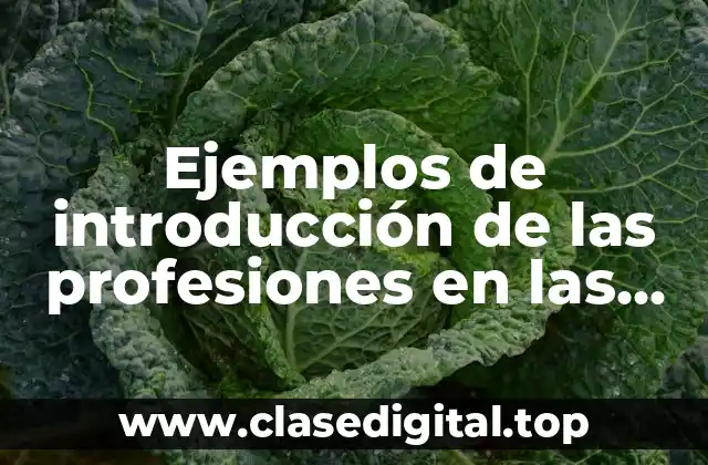 Ejemplos de introducción de las profesiones en las artes