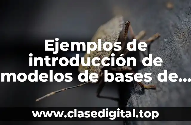 Ejemplos de introducción de modelos de bases de datos