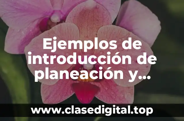 Ejemplos de introducción de planeación y organización de una empresa
