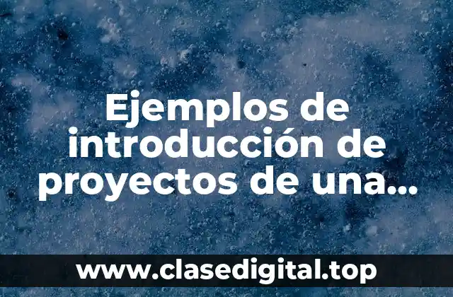 Ejemplos de introducción de proyectos de una cancha deportiva