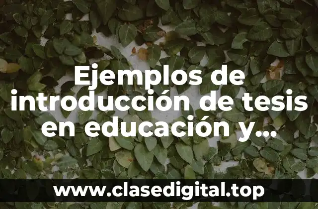 Ejemplos de introducción de tesis en educación