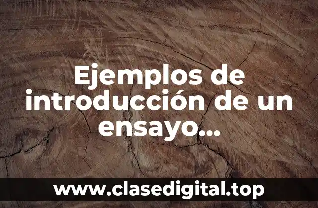 Ejemplos de introducción de un ensayo argumentativo