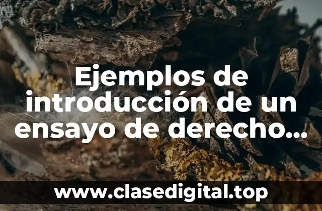 Ejemplos de introducción de un ensayo de derecho la sentencia