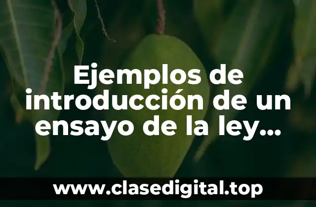 Ejemplos de introducción de un ensayo de la ley aduanera