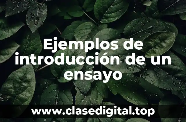 Ejemplos de introducción de un ensayo
