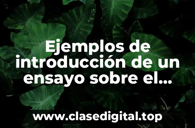 Ejemplos de introducción de un ensayo sobre el cálculo