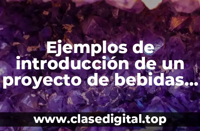 Ejemplos de introducción de un proyecto de bebidas alcoholeñas