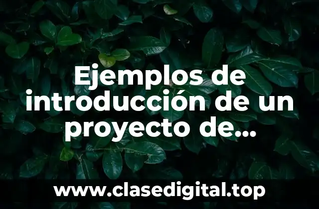 Ejemplos de introducción de un proyecto de investigación en educación