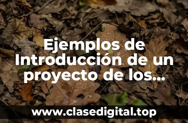 Ejemplos de Introducción de un proyecto de los riñones