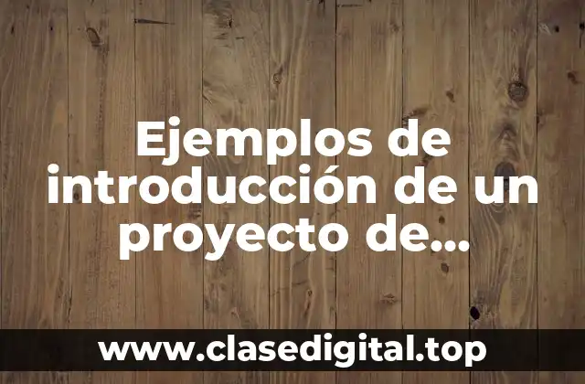 Ejemplos de introducción de un proyecto de magnetismo