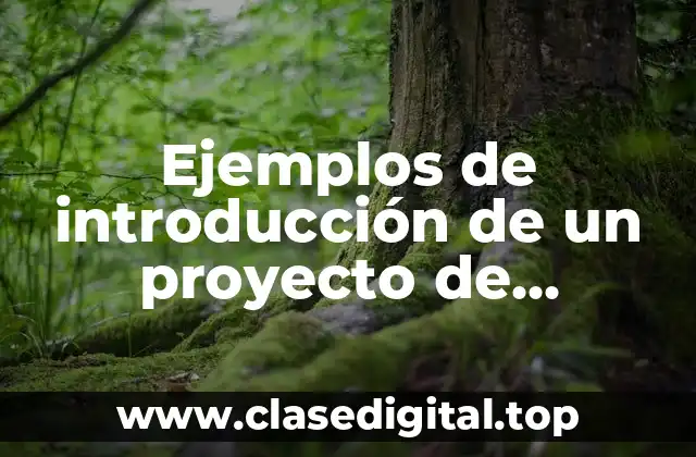 Ejemplos de introducción de un proyecto de sociedades mercantiles