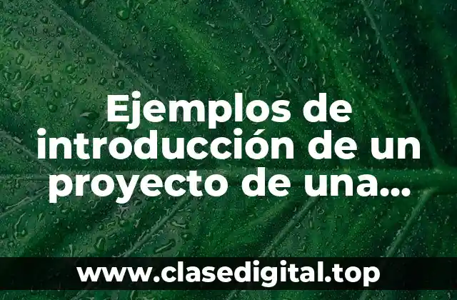 Ejemplos de introducción de un proyecto de una tienda online