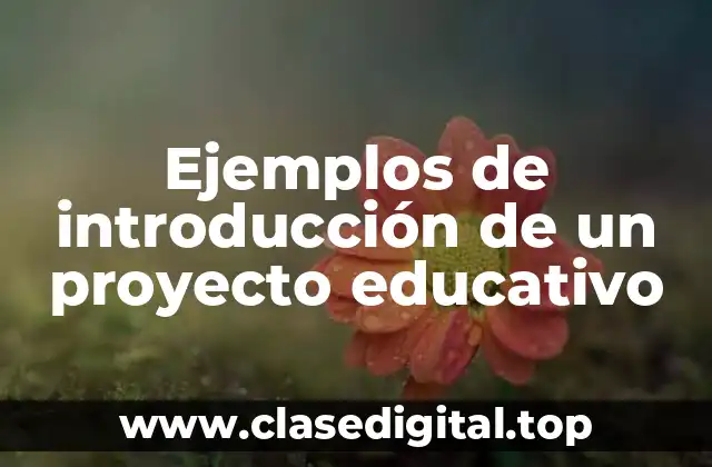 Ejemplos de introducción de un proyecto educativo