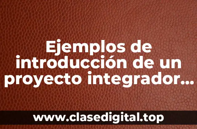Ejemplos de introducción de un proyecto integrador de productos nuevos