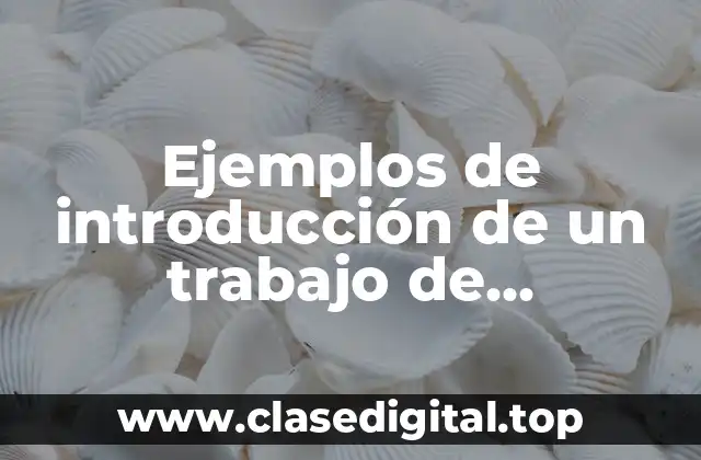 Ejemplos de introducción de un trabajo de matemática preparatoria