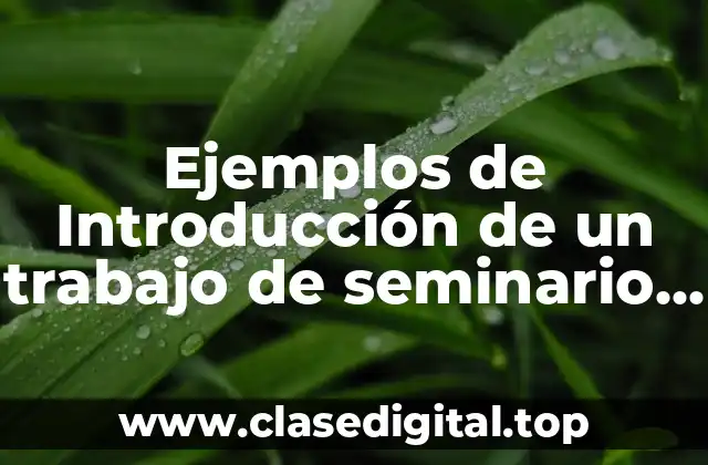 Ejemplos de introducción de un trabajo de seminario