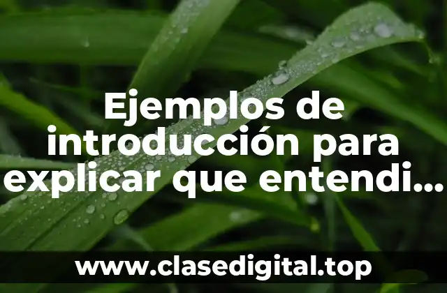 Ejemplos de introducción para explicar que entendi de un libro