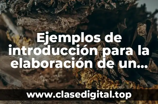 Ejemplos de introducción para la elaboración de un ensayo