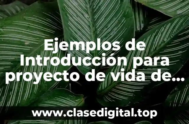 Ejemplos de Introducción para proyecto de vida de investigación