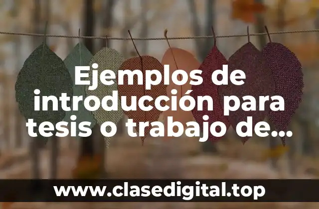 Ejemplos de introducción para tesis o trabajo de investigación en