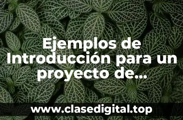 Ejemplos de Introducción para un proyecto de ortografía