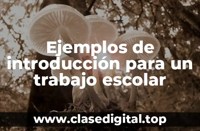 Ejemplos de introducción para un trabajo escolar