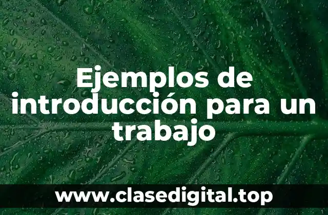 Ejemplos de introducción para un trabajo