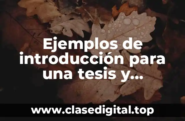 Ejemplos de introducción para una tesis y Significado