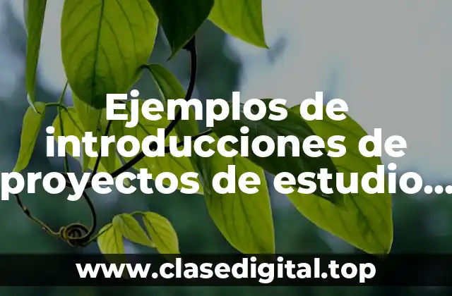 Ejemplos de introducciones de proyectos de estudio de tiempo