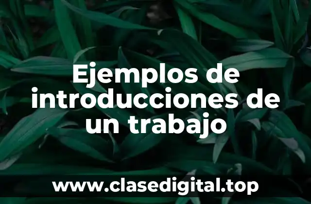 Ejemplos de introducciones de un trabajo