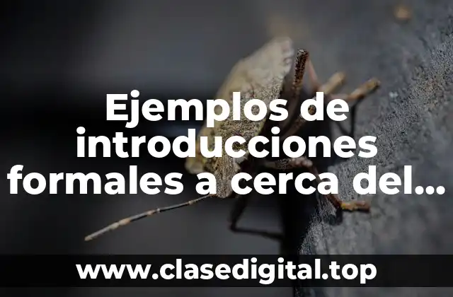 Ejemplos de introducciones formales a cerca del deficit de atencion