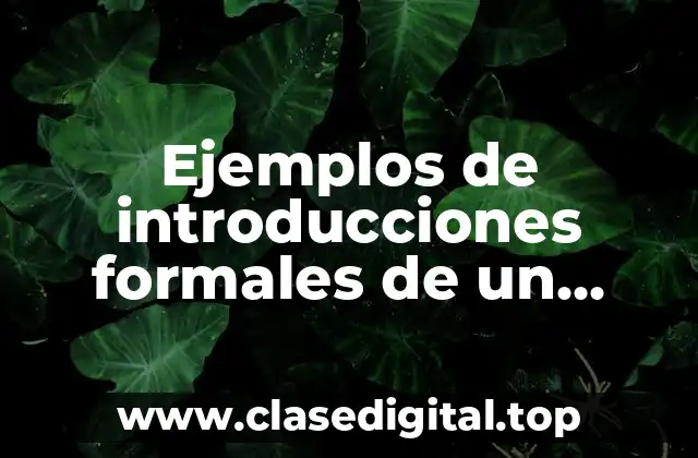 Ejemplos de introducciones formales de un reporte de una empresa