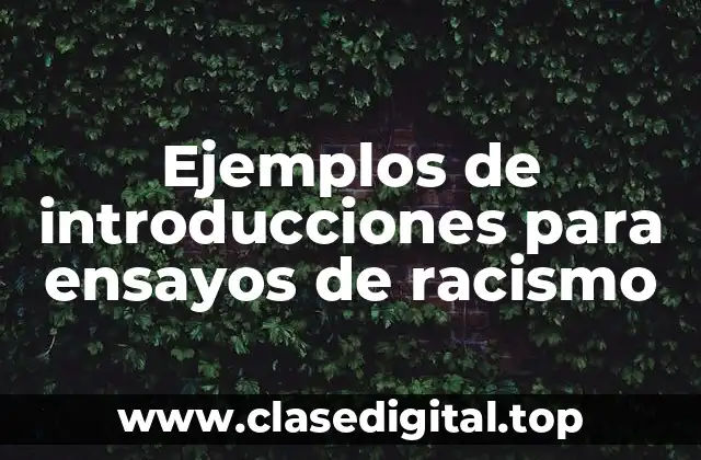 Ejemplos de introducciones para ensayos de racismo
