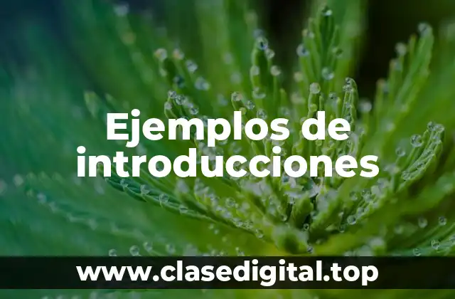 Ejemplos de introducciones