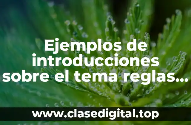 Ejemplos de introducciones sobre el tema reglas ortográficas