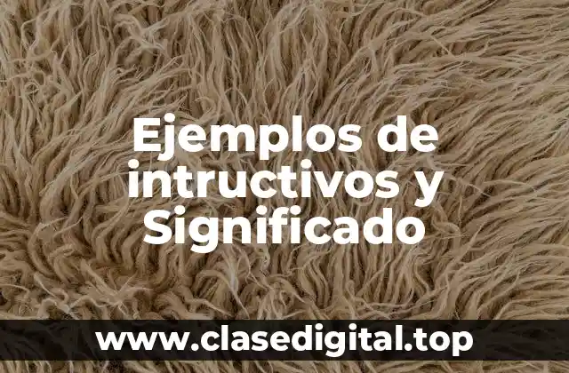 Ejemplos de intructivos y Significado