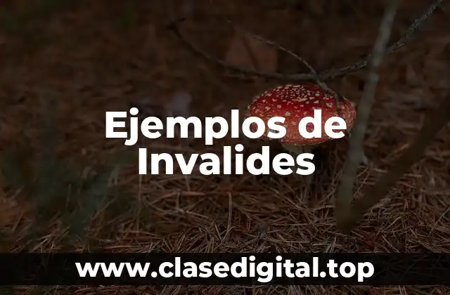 Ejemplos de Invalides