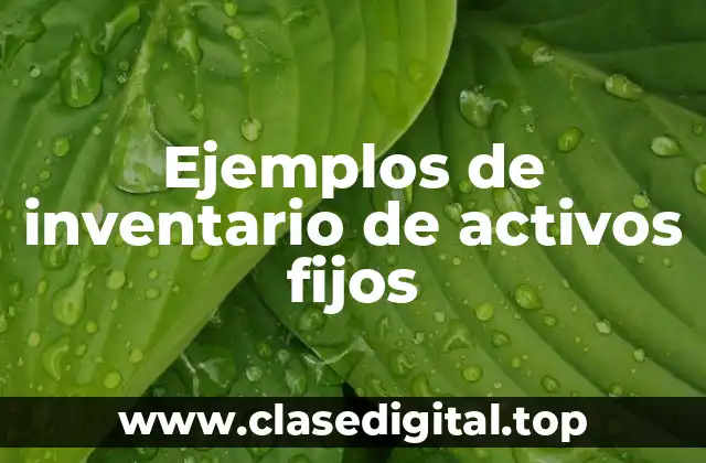 Ejemplos de inventario de activos fijos