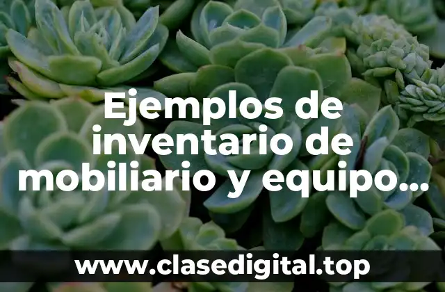 Ejemplos de inventario de mobiliario y equipo de oficina