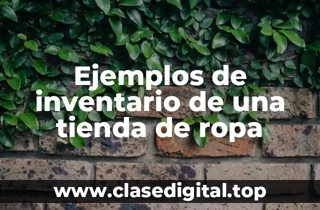 Ejemplos de inventario de una tienda de ropa